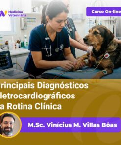 Online veterinary course banner: a veterinarian checks a dog's ECG in a clinic, with the course title and instructor name.