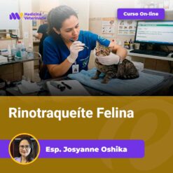 Veterinarian in blue scrubs examines a cat on a clinic table; 'Curso On-line' banner visible above.