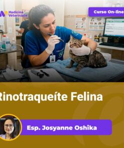 Veterinarian in blue scrubs examines a cat on a clinic table; 'Curso On-line' banner visible above.