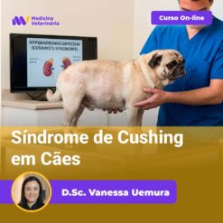 Síndrome de Cushing em Cães