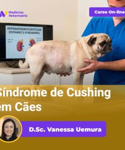 Síndrome de Cushing em Cães