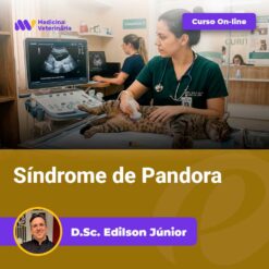 Veterinarian performing an abdominal ultrasound on a cat in a clinic; 'Curso On-line' banner visible and 'Síndrome de Pandora' title.