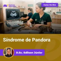 Veterinarian performing an abdominal ultrasound on a cat in a clinic; 'Curso On-line' banner visible and 'Síndrome de Pandora' title.