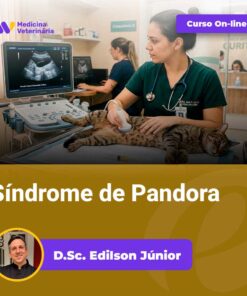 Veterinarian performing an abdominal ultrasound on a cat in a clinic; 'Curso On-line' banner visible and 'Síndrome de Pandora' title.