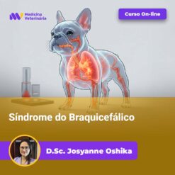 Síndrome do Braquicefálico