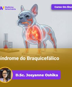 Síndrome do Braquicefálico