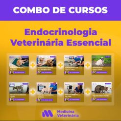 Combo Endocrinologia Veterinária Essencial