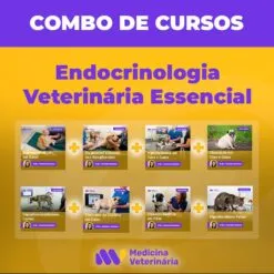 Combo Endocrinologia Veterinária Essencial