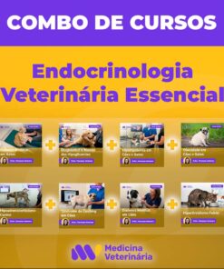 Combo Endocrinologia Veterinária Essencial