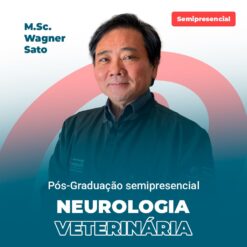 neurologia vet