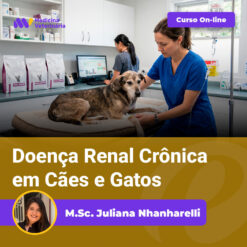 Dog on an exam table being treated by a vet in blue scrubs; online course Doença Renal Crônica em Cães e Gatos by M.Sc. Juliana Nhnharelli.