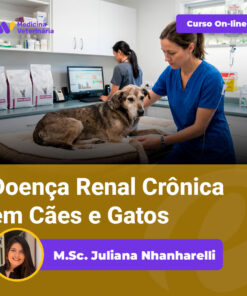 Dog on an exam table being treated by a vet in blue scrubs; online course Doença Renal Crônica em Cães e Gatos by M.Sc. Juliana Nhnharelli.