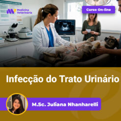 Veterinary clinic scene: a veterinarian treats a dog on an exam table while a person holds the dog; overlay banners read 'Curso On-line' and 'Infecção do Trato Urinário'; circular instructor photo and name shown at bottom.