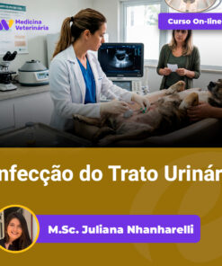 Veterinary clinic scene: a veterinarian treats a dog on an exam table while a person holds the dog; overlay banners read 'Curso On-line' and 'Infecção do Trato Urinário'; circular instructor photo and name shown at bottom.
