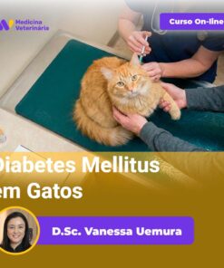Diabetes Mellitus em Gatos