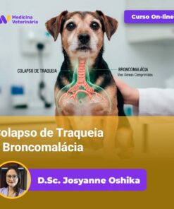 Colapso de Traqueia e Broncomalácia
