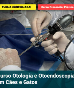 Curso Otologia e Otoendoscopia em Cães e Gatos
